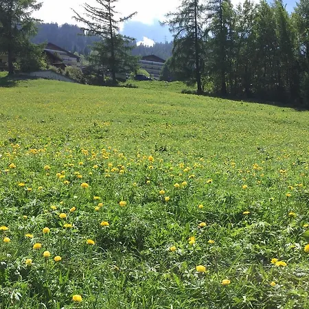 Le Vatzerou Appartement *