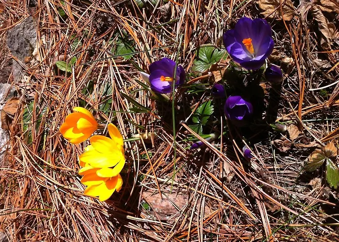 Apartamento Le Vatzerou *