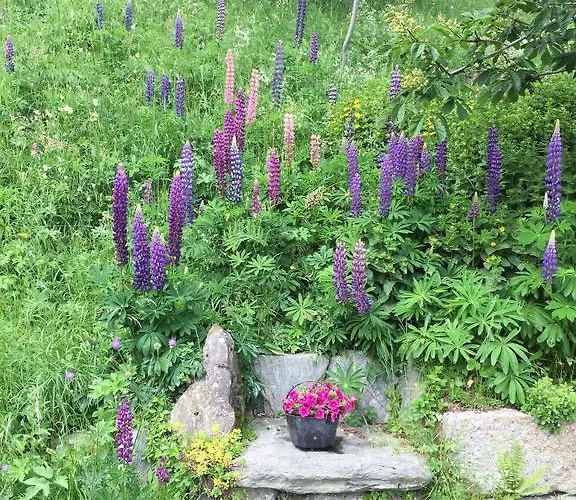 Le Vatzerou Appartamento