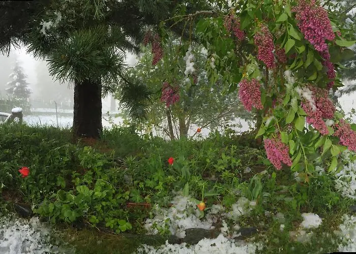 Le Vatzerou La Tzoumaz